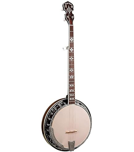Amazon.co.jp: GOODTIME BANJO/GT Goodtime 5-String Banjo バンジョー